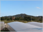 �Ȃ��ނ�_���͉��ꌧ����s�̗΂Ɉ͂܂ꂽ�ꏊ�Ƀ}���S�[��������܂��B