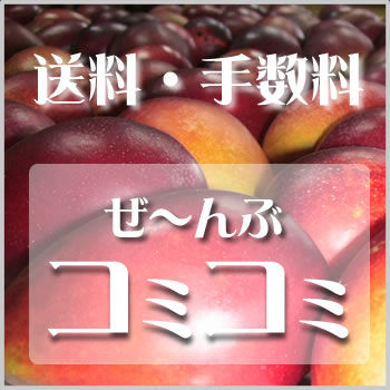 ����}���S�[�M�t�g4�L��