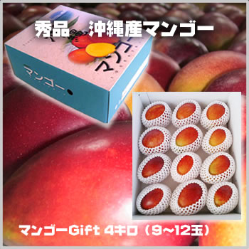 ����}���S�[�M�t�g4�L��