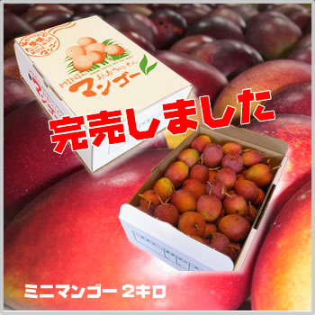 �~�j�}���S�[2�L��